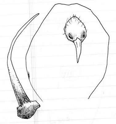 Vulture with rib bone