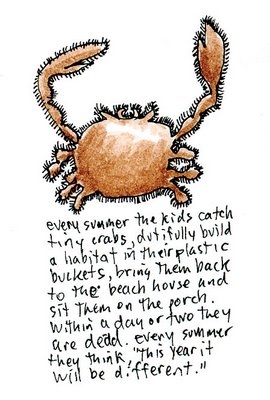 Optimistists or Fools?