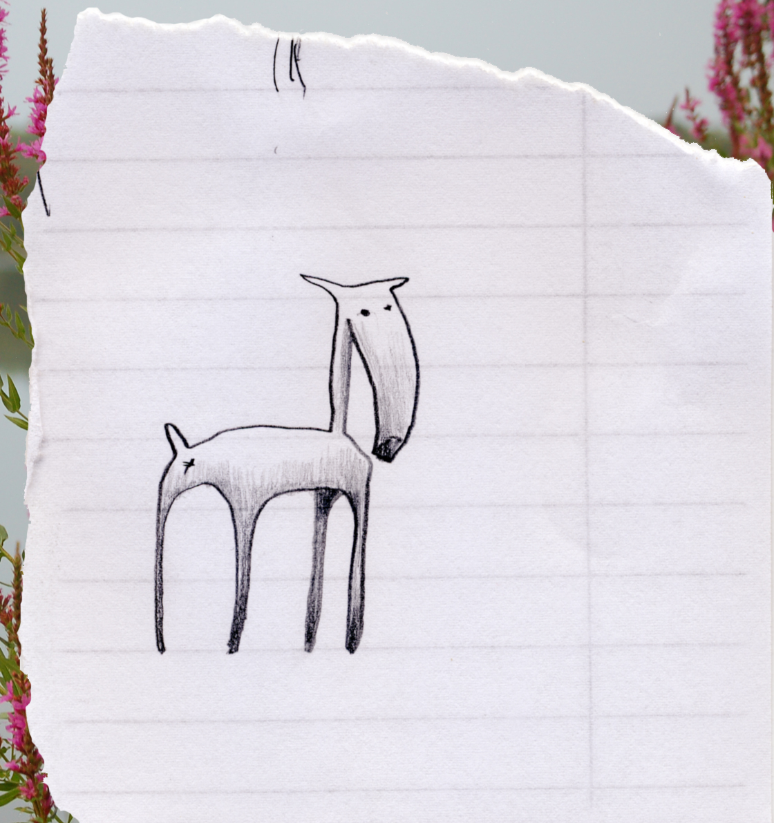 Long Shnozzed Woodland Creature