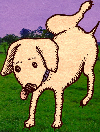 Dog Does What A Dog Does